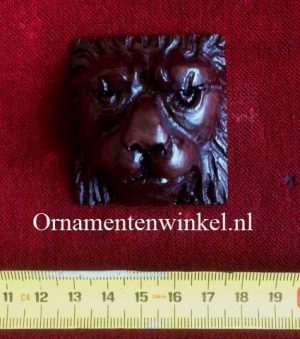 Leeuwekop Bolknak
