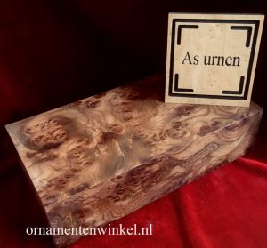 As urn box burl elm  wortel Iepen